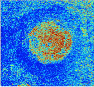 RadioDetection EKKO_Project V6 Core for LMX Software